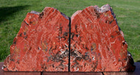 CLASSIC & COLORFUL 8 lb. Arizona RAINBOW Petrified Wood Bookend Set!!