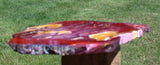 Australian Mookaite 8" Polished Display Slab - BEAUTIFULLY POLISHED REDS!!