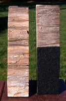 Dark & GEMMY 7 lb. FOSSIL SEQUOIA Petrified Wood Bookends - Mt. Adams Wash.