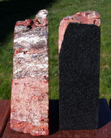 Smaller SUPER COLORFUL 5 lb. Arizona RAINBOW Petrified Wood Bookend Set!!