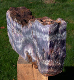 DRAMATIC PURPLE Chevron Amethyst Crystal Display Specimen - BREATHTAKING!