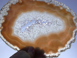 DAZZLING DRUSY 10.5" Collector Grade Agate & Crystal Geode Slab With Perfect Polish!