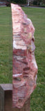 GALACTIC 18# ARIZONA Petrified Wood Display Mantel Piece Natural Sculpture - My BEST!