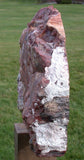 GALACTIC 18# ARIZONA Petrified Wood Display Mantel Piece Natural Sculpture - My BEST!