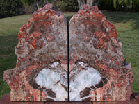 MY BEST & BIGGEST 21+ lb. Arizona Petrified Wood Bookend Set - Incredible Double Fossil!