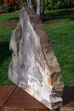 MASSIVE 15 lb. Golden Oak Petrified Wood Sculpture - Gorgeous Stinking Water Oak Mantel Piece!
