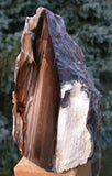 PREMIUM GRADE Petrified Wood Sculpture - Gorgeous 5.3 lb. Mantle Piece - McDermitt, Oregon!