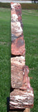 BRILLIANT 20# ARIZONA Petrified Wood Display Mantel Piece Natural Sculpture