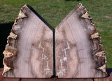 LOVLEY 4.7 lb. Ultra-Rare BURMESE Petrified Wood Bookends - MYANMAR Fossil Gemstone!