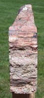 BRILLIANT 24# ARIZONA Petrified Wood Display Mantel Piece Natural Sculpture