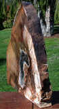 MASSIVE 20 lb. Golden Oak Petrified Wood Sculpture - Gorgeous Stinking Water Oak Mantel Piece!