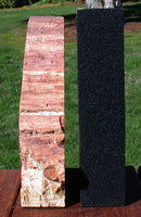 VIBRANT Rainbow Color 11+ lb. ARIZONA Petrified Wood Bookend Set!!