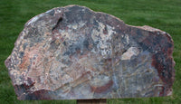 BRILLIANT 24# ARIZONA Petrified Wood Display Mantel Piece Natural Sculpture