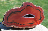 Premium Grade GLOWING RED Condor Agate - 1/4+ lb. FLAWLESS Full Pattern Beauty!